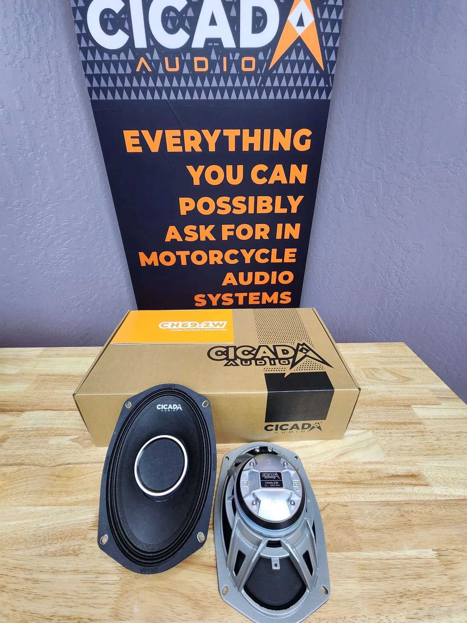 Cicada Black Friday DSP/CH Plug-and-play System