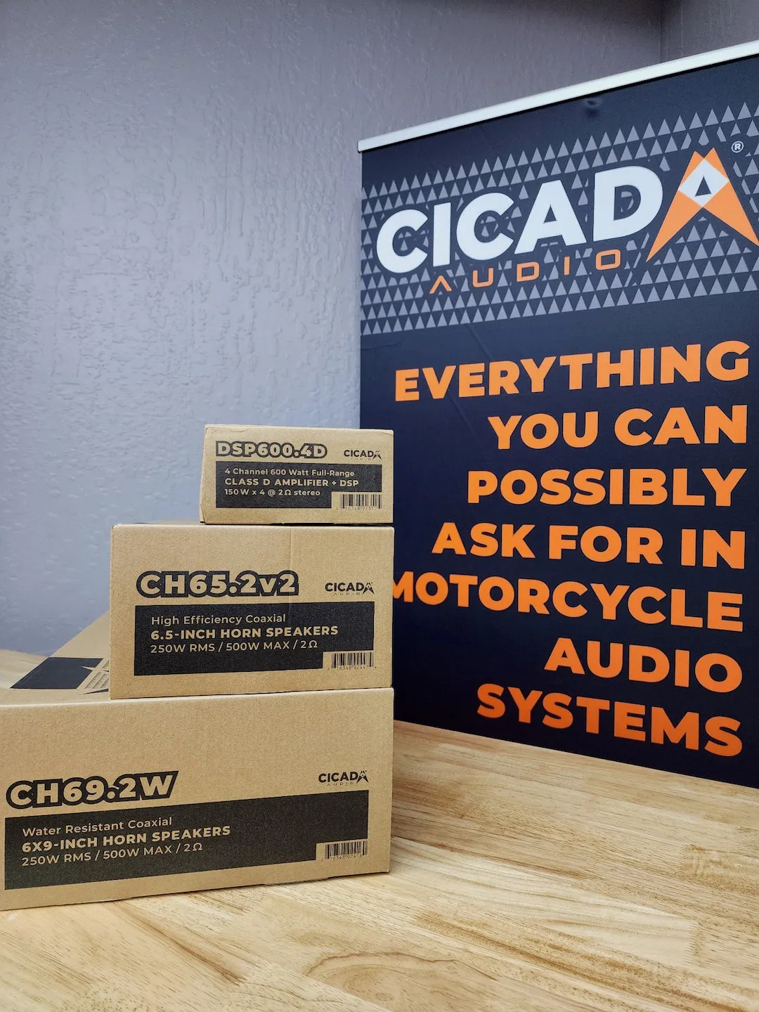 Cicada Black Friday DSP/CH Plug-and-play System